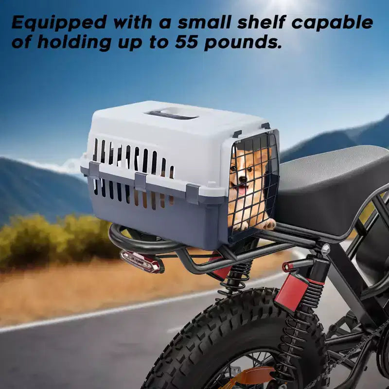Eilleo 20 Fat Tire E-Bike Motore da 750W (920W di picco), 40 km/h, autonomia 80-110 km, batteria 48V 15.6Ah, doppia sospensione, Shimano 7 velocità