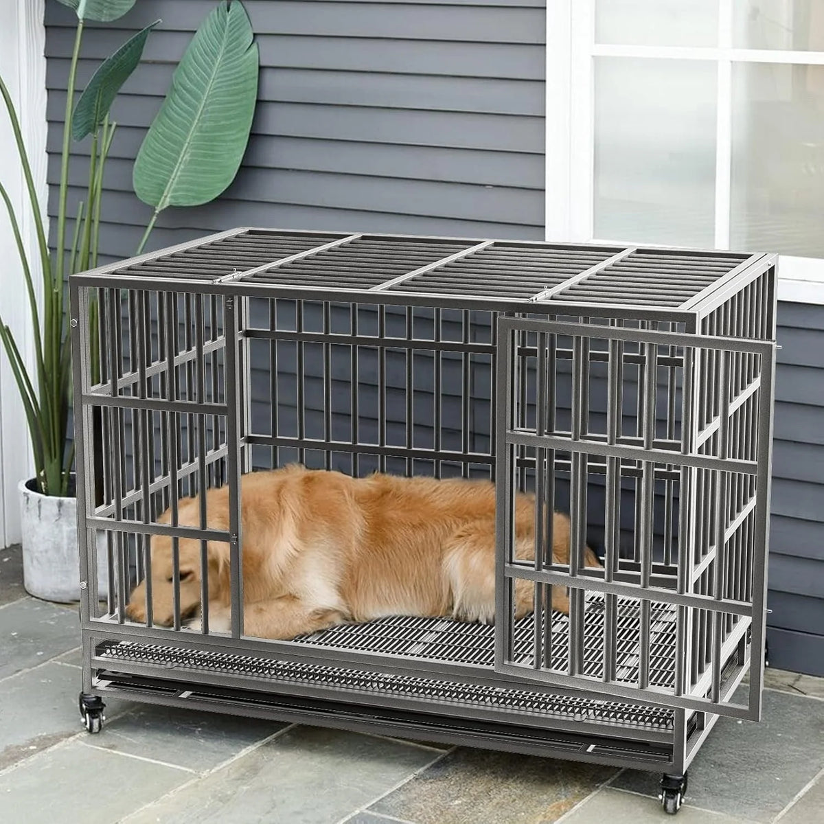 BOSSIN Trasportino/Gabbia/Panca per Cani Indistruttibile Resistente da 48/38 Pollici, Anti-Fuga, con Ruote Bloccabili