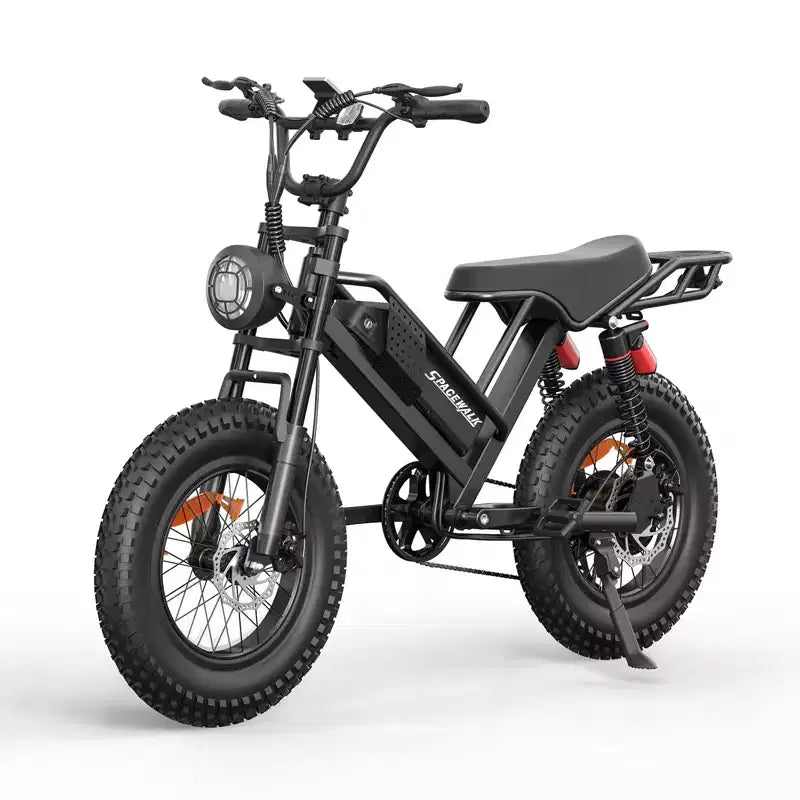 Eilleo 20 Fat Tire E-Bike Motore da 750W (920W di picco), 40 km/h, autonomia 80-110 km, batteria 48V 15.6Ah, doppia sospensione, Shimano 7 velocità