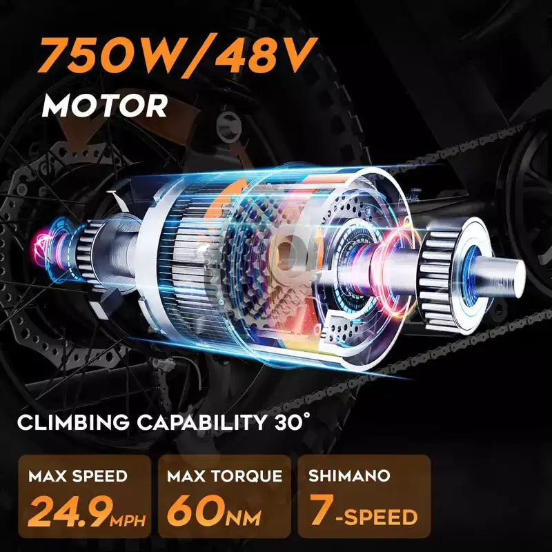 Eilleo 20 Fat Tire E-Bike Motore da 750W (920W di picco), 40 km/h, autonomia 80-110 km, batteria 48V 15.6Ah, doppia sospensione, Shimano 7 velocità