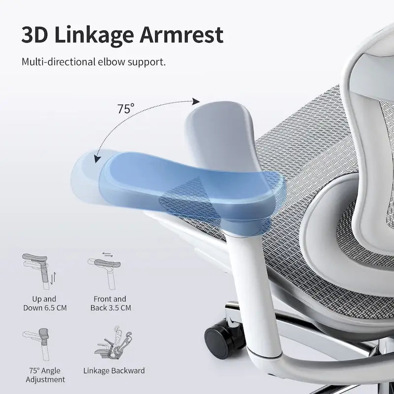 SIHOO Ergonomic Ofiice Chair Doro-C300, Auto-Adaptive Lumbar Support, and 3D Linkage Armrests, Black - 78*70*125