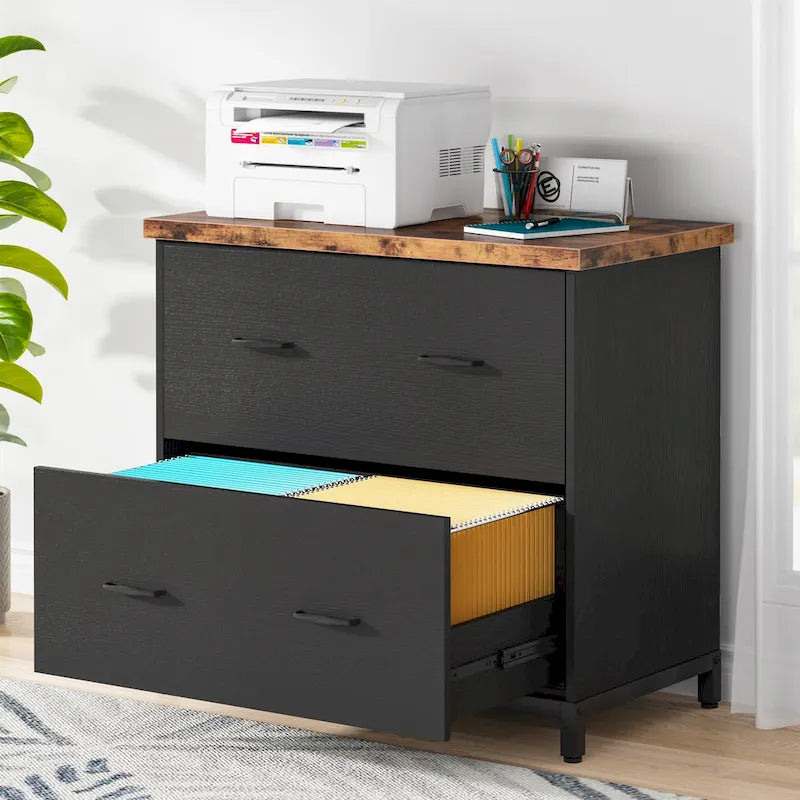 Lateral File Cabinet, 2-Drawer Filing Cabinet For Home Office