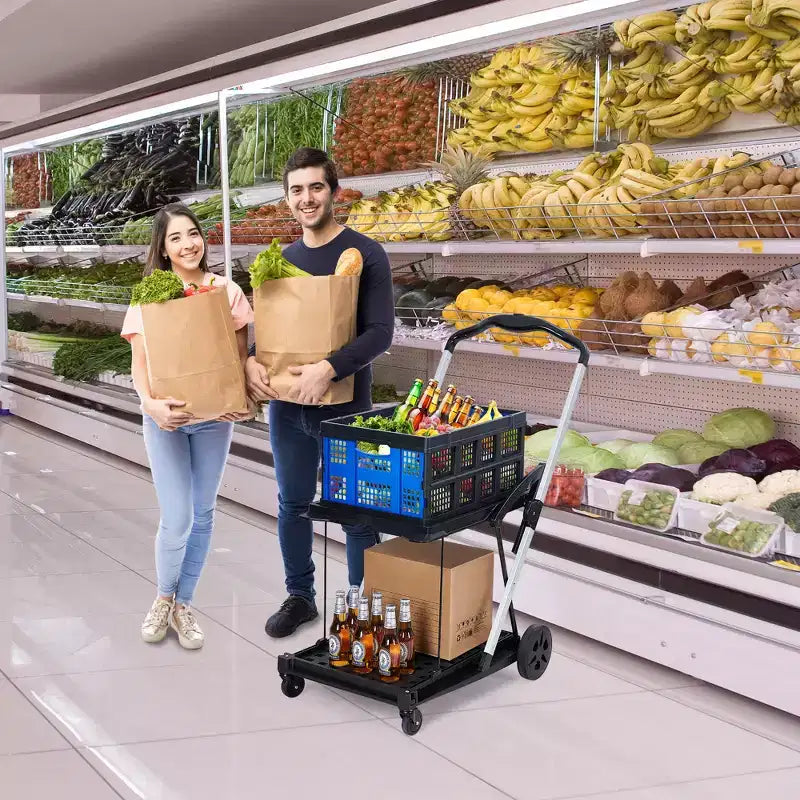 Carrelli della spesa pieghevoli a 2 livelli per la spesa, capacità 90 kg, carrello per la spesa portatile pieghevole con ruote e cassa rimovibile per centro commerciale, blu
